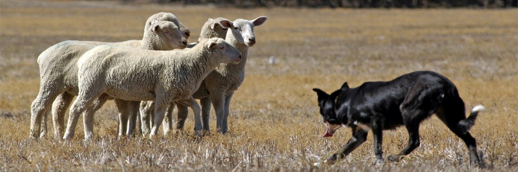 Fear of the&nbsp;Words