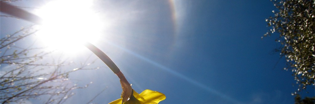 A touch of&nbsp;heaven