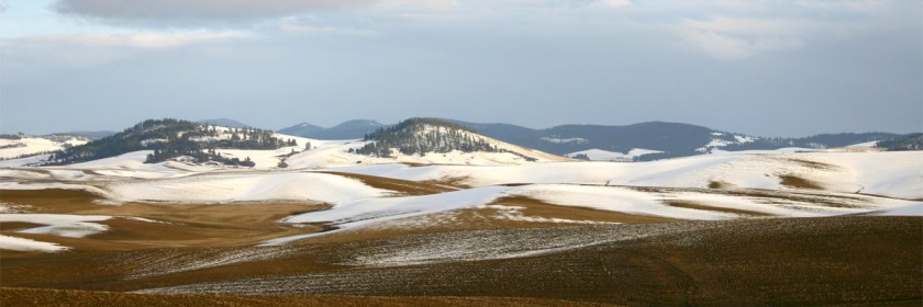 Palouse region of Idaho Credit: Charmar/Wikipedia/Creative Commons