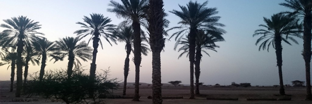 Ancient gates of Solomon discovered at Biblical Tamar&nbsp;Park?