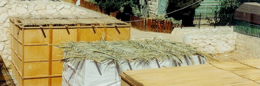 Roof of booths set up in Jerusalem for the Feast of Tabernacles Credit: Yoninah/Wikipedia/Creative Commons