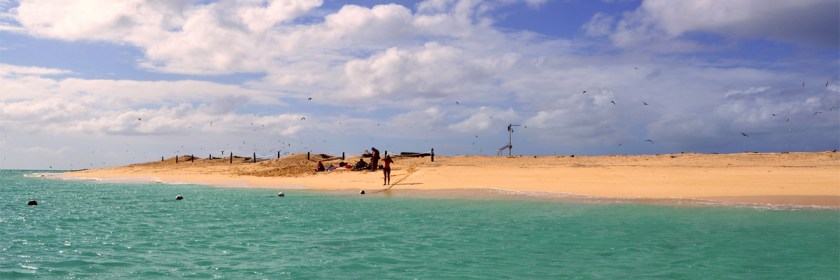Island jutting out of Australia's Great Barrier Reef Credit: matlacha/Flickr/Creative Commons