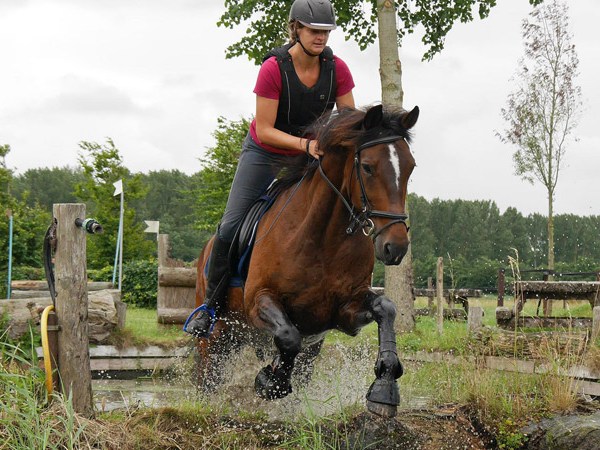 ¿Qué significa cuando Jesús dijo que los mansos heredarán la&nbsp;tierra?