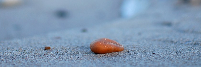 Credit: Camilla Carlstrom/Flickr/Creative Commons