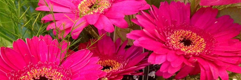 Credit: quimby/Flickr/Creative Commons