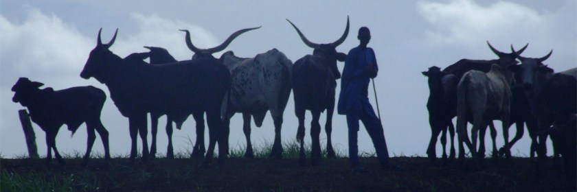 Fulani herdsmen Credit: John Mauremootoo/Flickr/Creative Commons