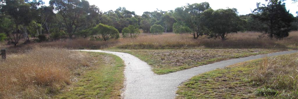 Veering off the&nbsp;path