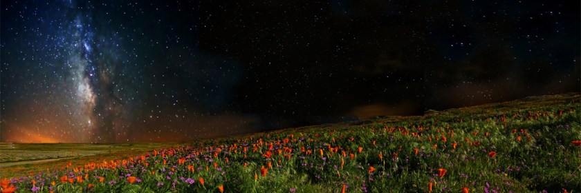 Credit: Rennett Stowe/Flickr/Creative Commons