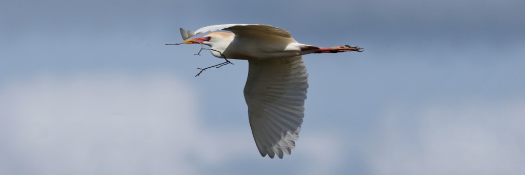 When it’s time to stop praying and start&nbsp;doing