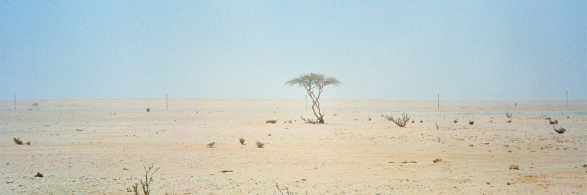 Desert in Qatar Credit: Sam Agnew/Flickr/Creative Commons