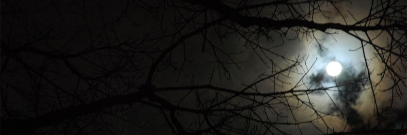 Credit: Wonderland/Flickr/Creative Commons