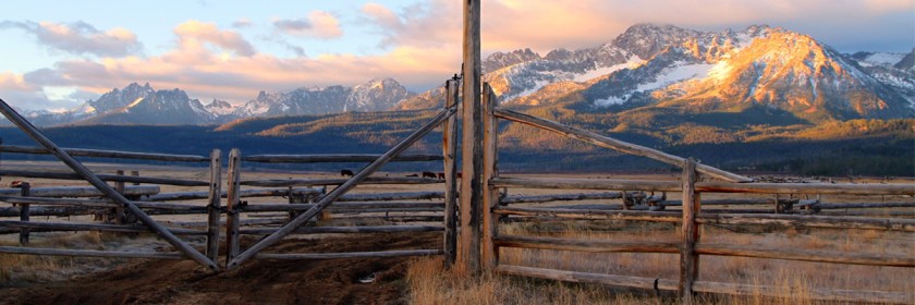 Credit: Nicholas D./Flickr/Creative Commons