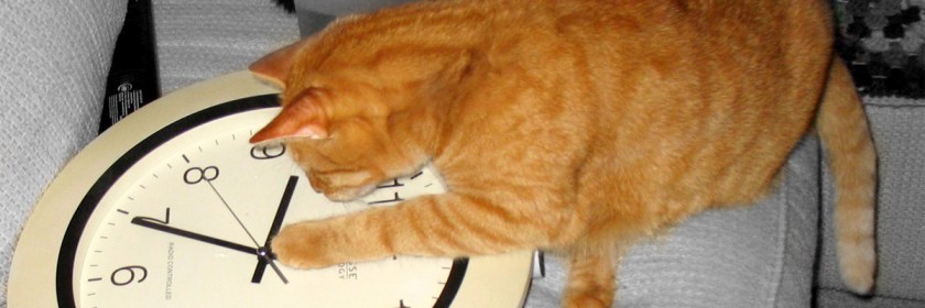 Giving yourself 48 hours Credit: mike Lietz/Flickr/Creative Commons