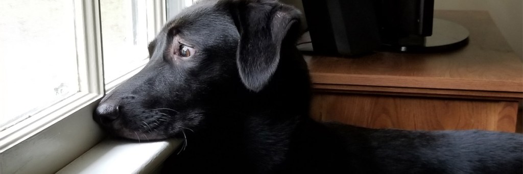 5 | What really sunk&nbsp;Peter?