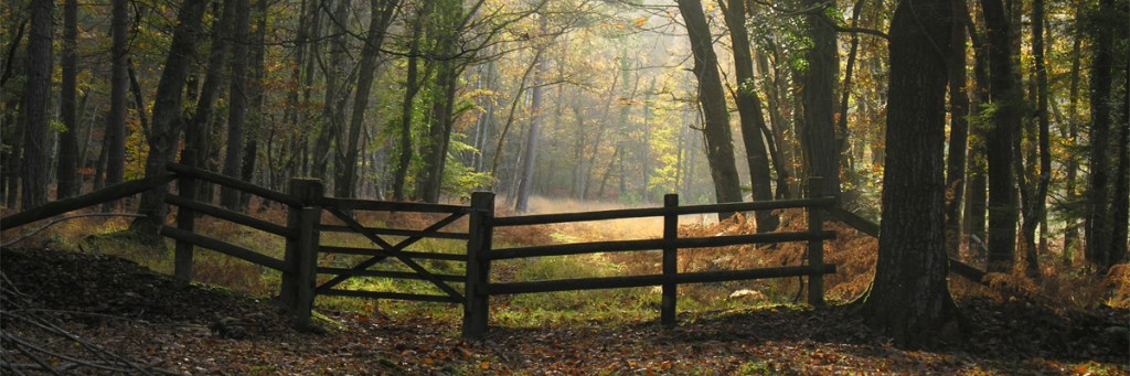 Learning to live within your&nbsp;boundaries