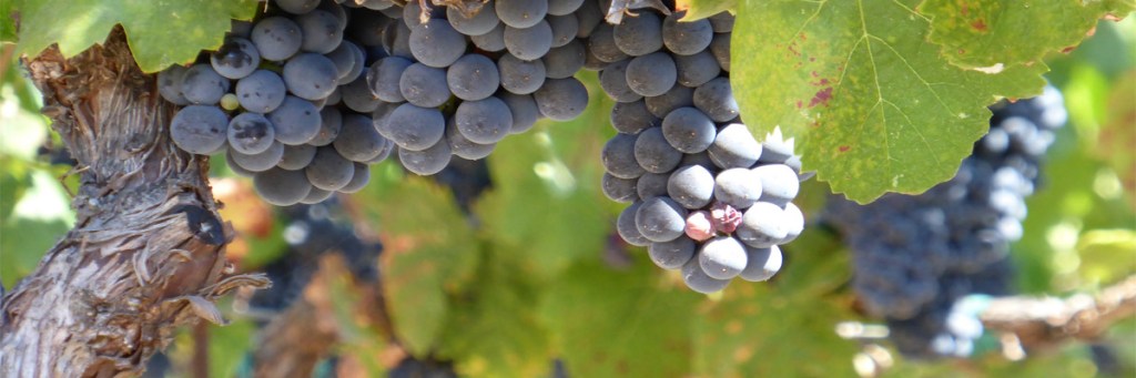 What does the Bible say about drinking&nbsp;alcohol?