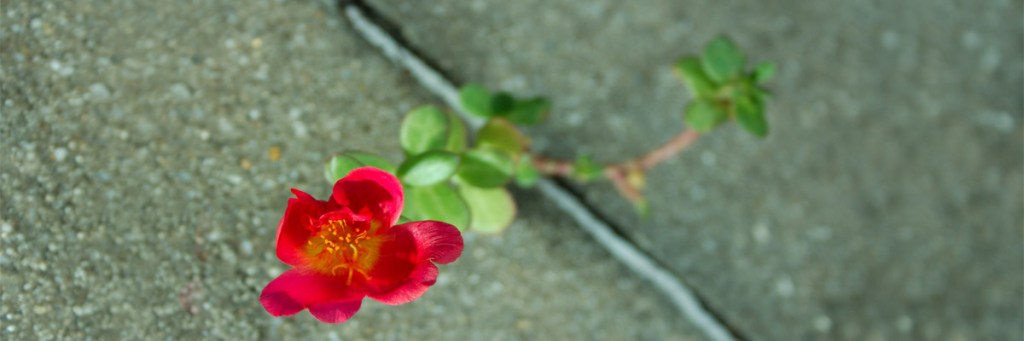 Breaking the Cement of ‘Not Good&nbsp;Enough’