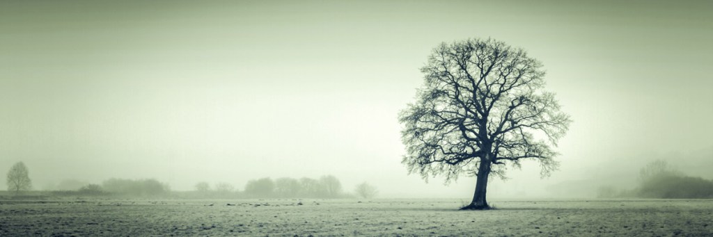 But I Don’t Like&nbsp;You