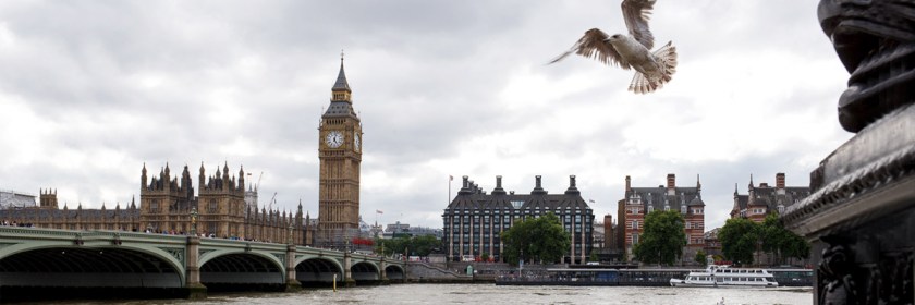 Credit: Jaume Escofet/Flickr/Creative Commons