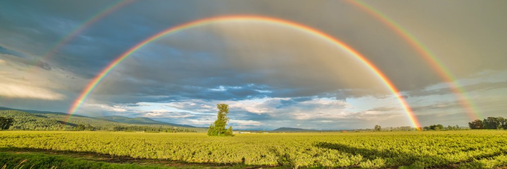 Did a rainbow guide Christian NFL&nbsp;player?