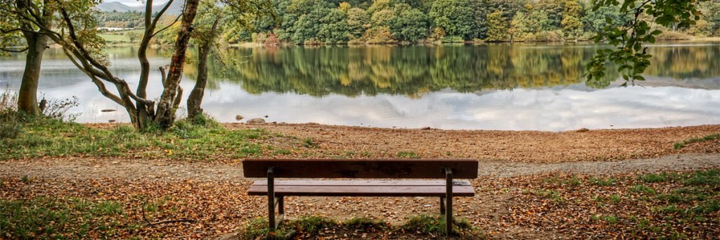 A word for women: ‘Arise, rest and eat, then&nbsp;go’