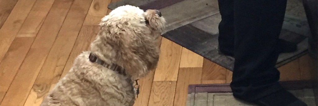 Apparently, we are supposed to be&nbsp;different