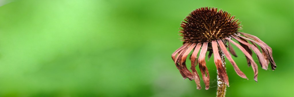 Are you infected with the ‘disease to&nbsp;please’?