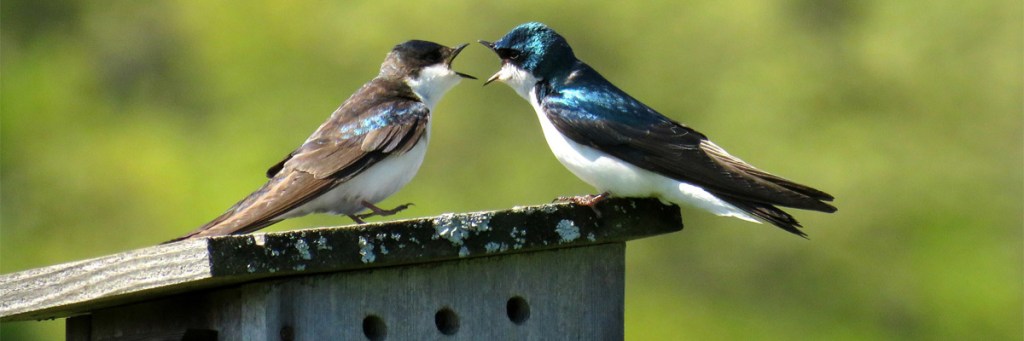 Can anger be a road map to a better&nbsp;life?