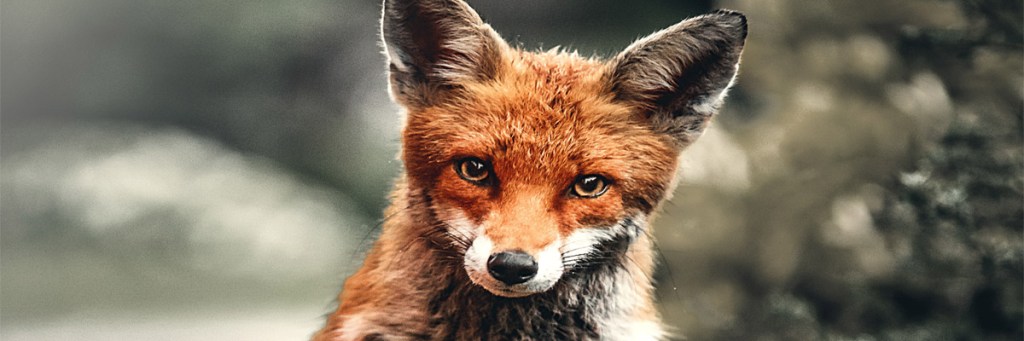 The rest and the&nbsp;pest