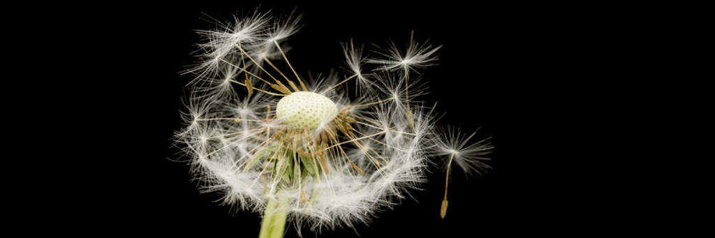 Breathing life into your dry&nbsp;bones