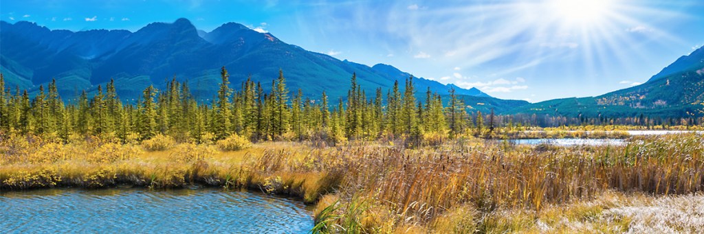 Do two bizarre stories out of Canada define the country’s spiritual&nbsp;climate?