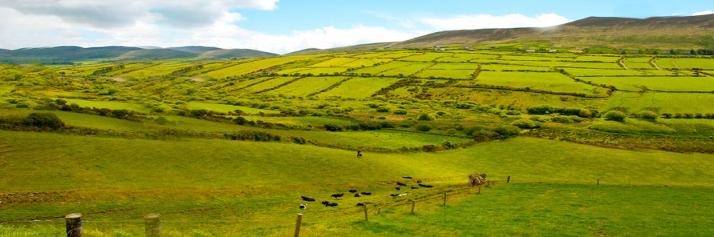 Sinead O’Connor and Islam; Convert or&nbsp;Revert?