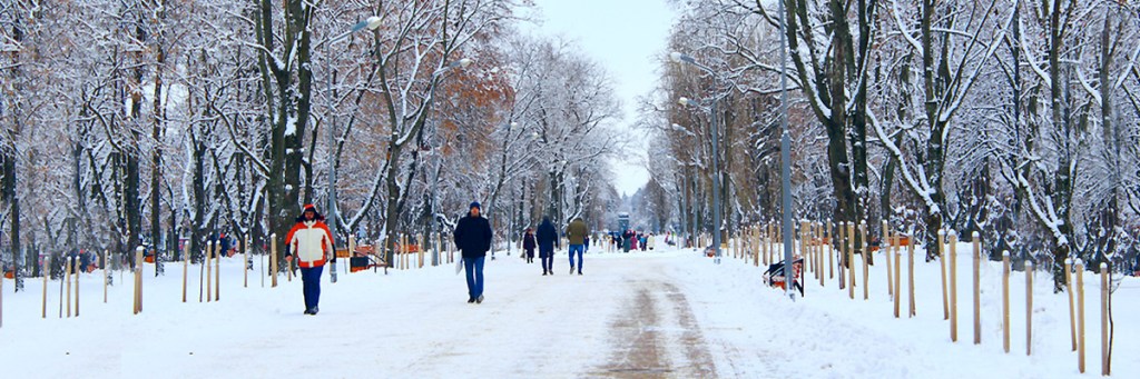 The Cult of Environmental&nbsp;Activism