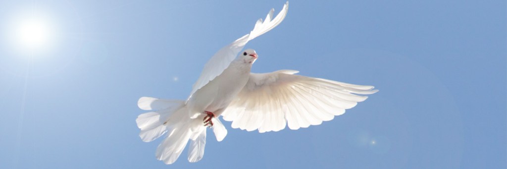 Revisado por especialistas, estudio médico revela que Dios sana, incluso si usted no cree en la sanidad&nbsp;divina