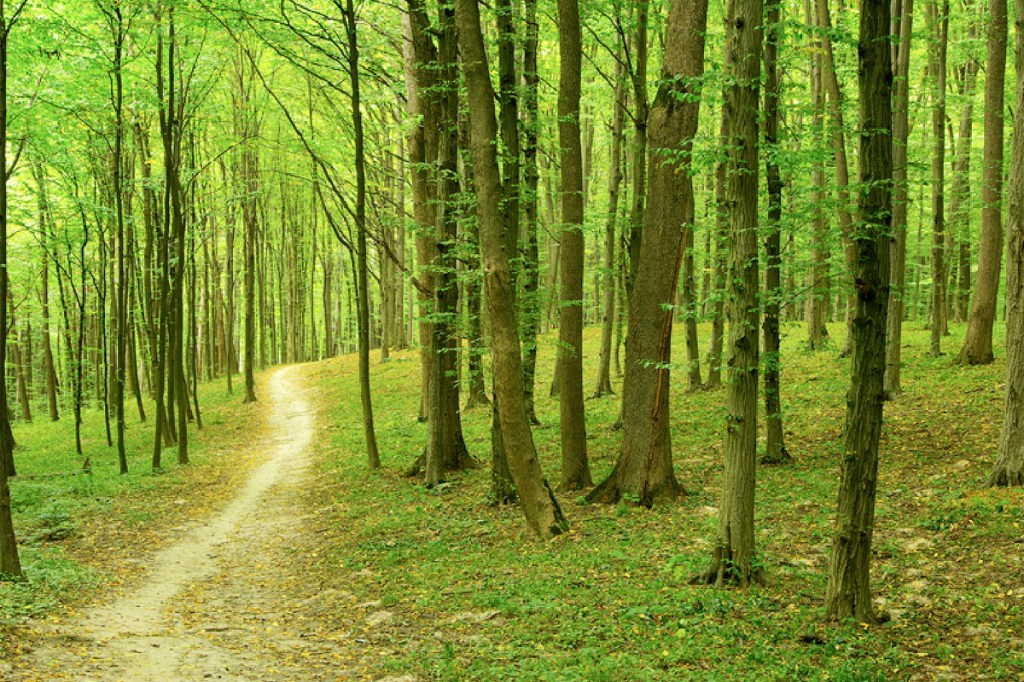 Embrace your journey