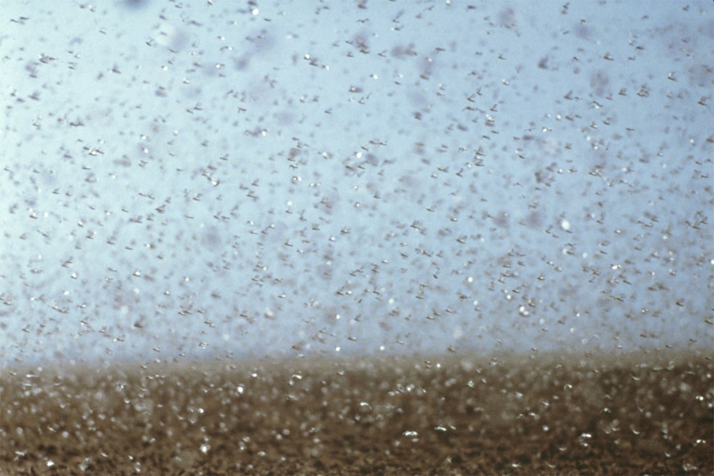 Apocalyptic warning shots in 2020, is anyone&nbsp;listening?