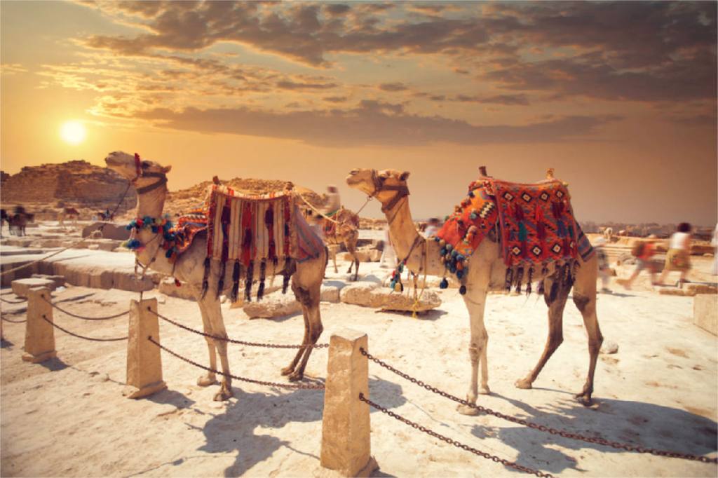 Israel and Egypt: The future does not look&nbsp;good