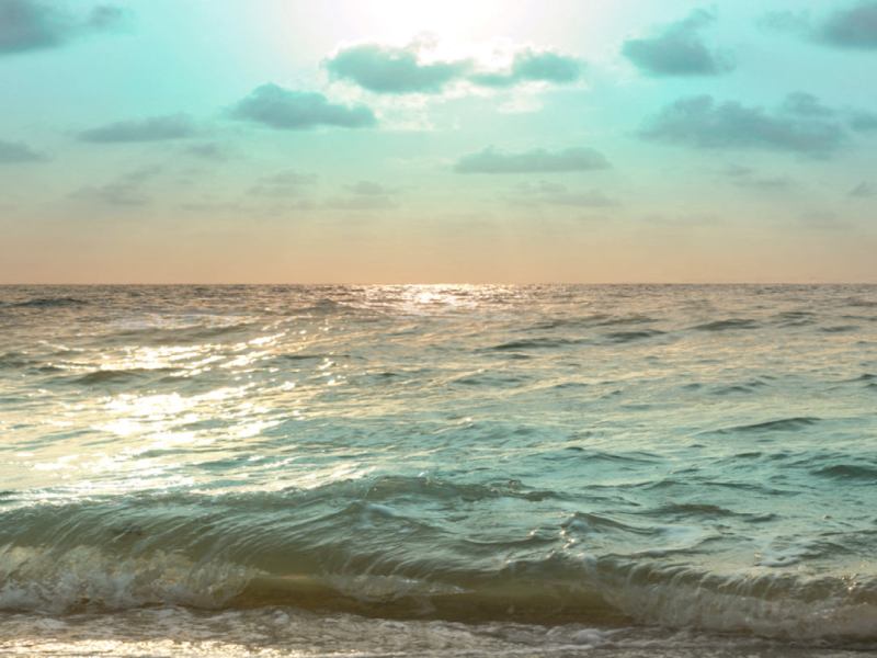 Escuchar los Sueños de&nbsp;Advertencia