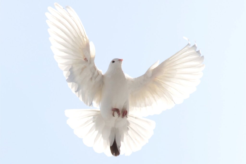 Being led by the Holy Spirit is a struggle for&nbsp;believers