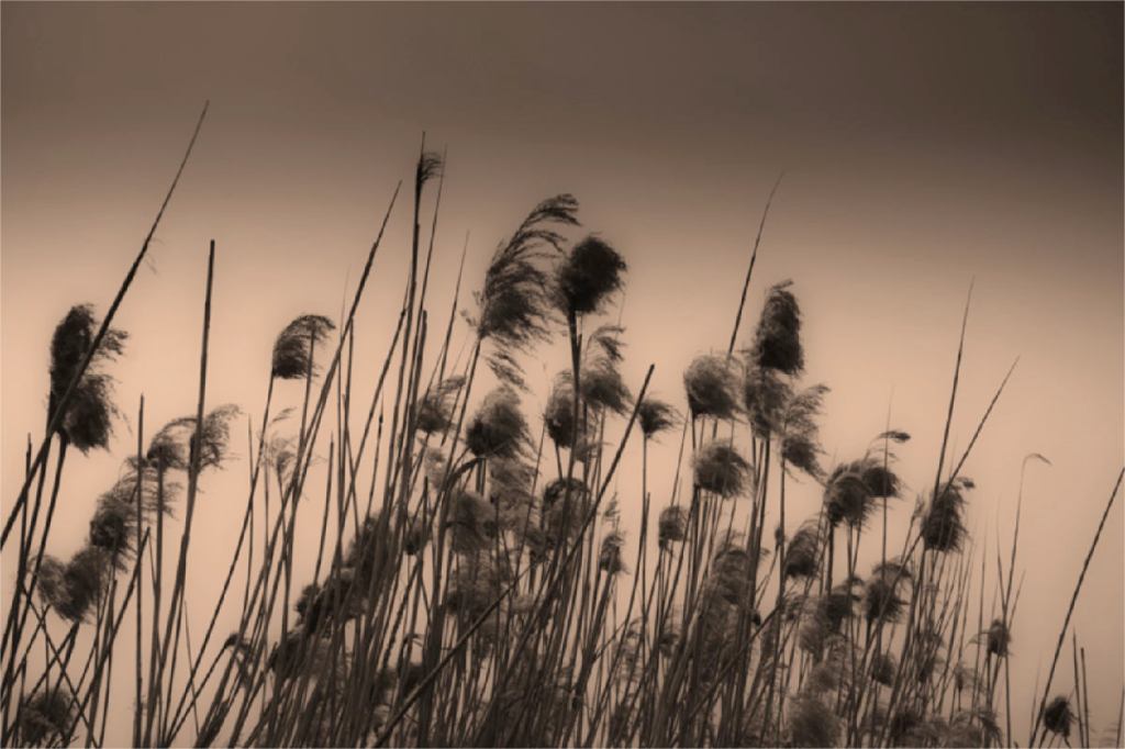 The Year 2020 and God: Maybe this is a good&nbsp;thing.