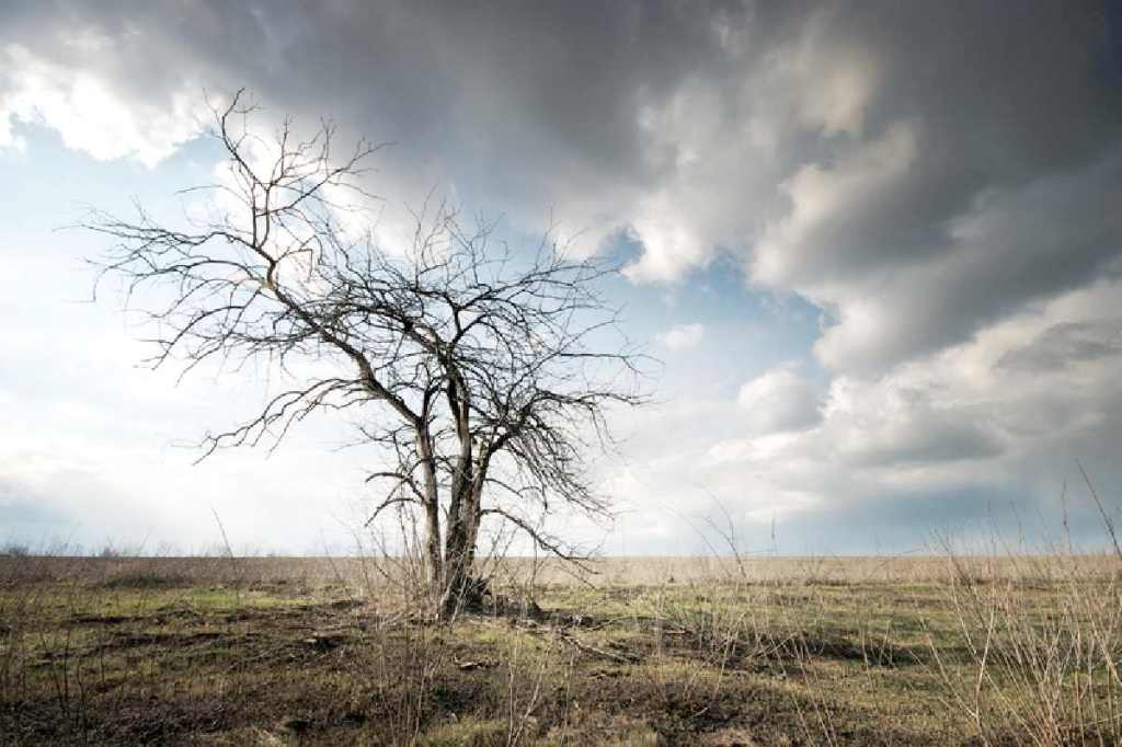 Are you ready for the 2020 COVID&nbsp;famine?