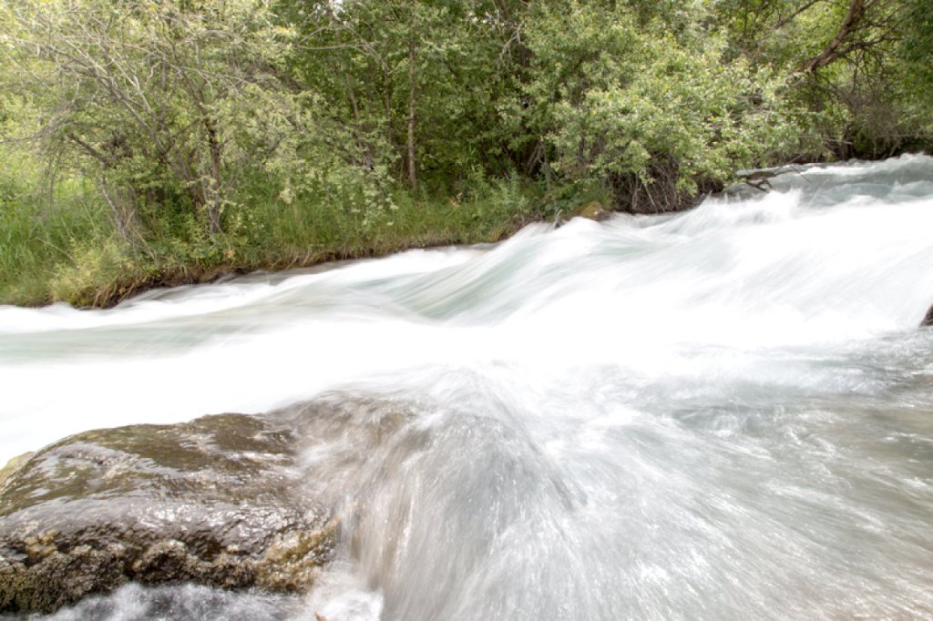 Is the Holy Spirit raising up a river against the&nbsp;enemy?