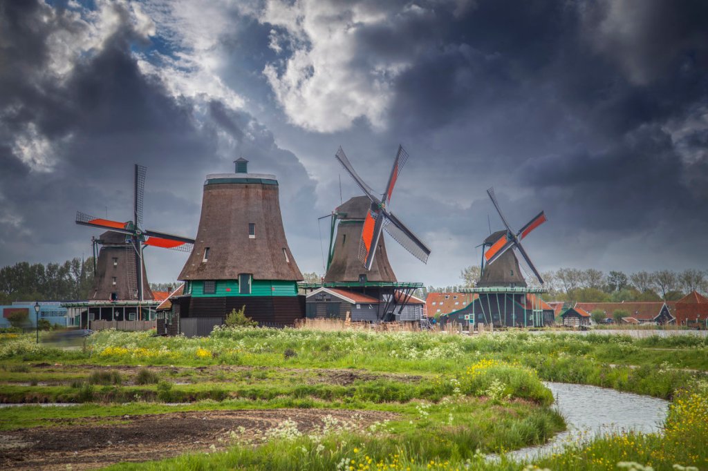 Video: How Dutch police deal with lockdown&nbsp;protestors