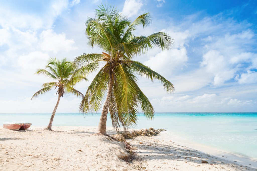 Lockdown for thee, but not for me, Canadian&nbsp;$tyle?