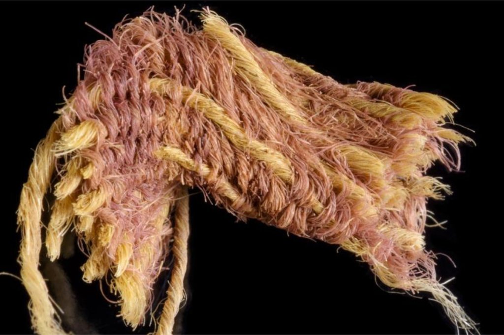 First example of the ancient ‘Royal Purple’ found in&nbsp;Israel