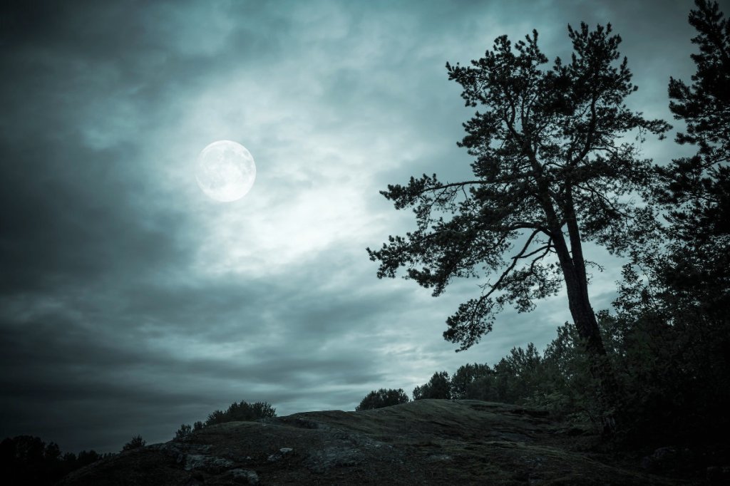 Horror Don’t Scare&nbsp;Me!