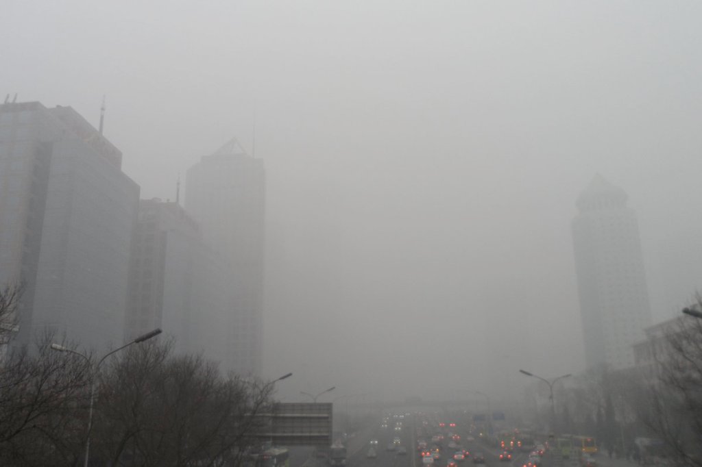 Global warming activists want more&nbsp;lockdowns