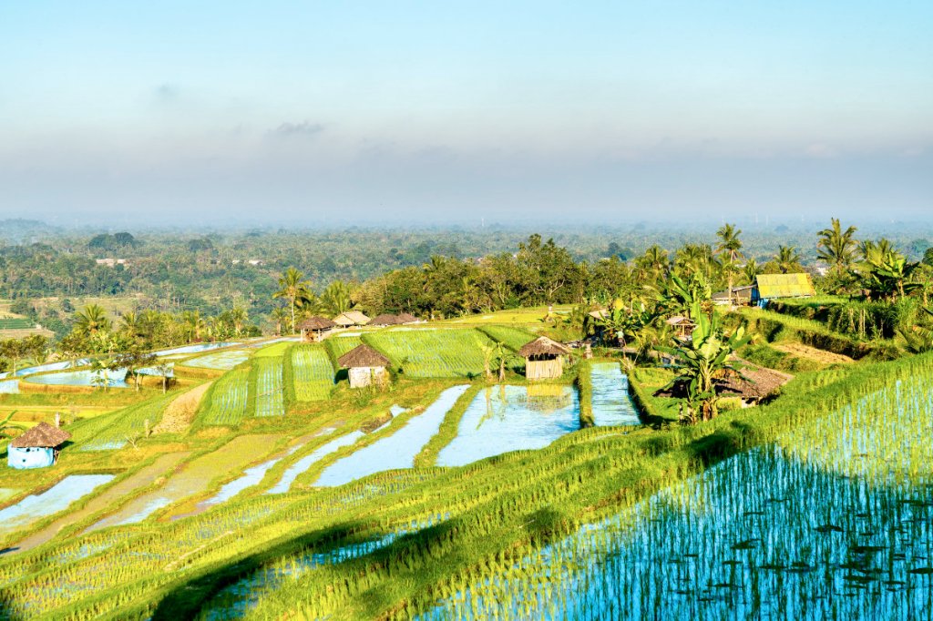 Bomb attack on church in&nbsp;Indonesia