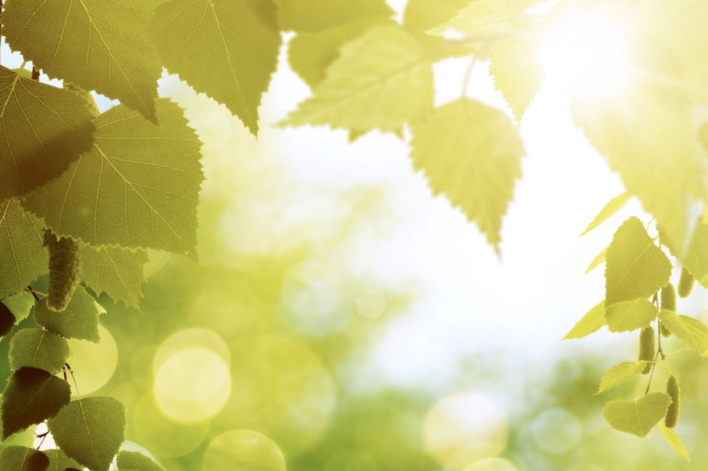 More sun linked to lower risk of dying from&nbsp;COVID