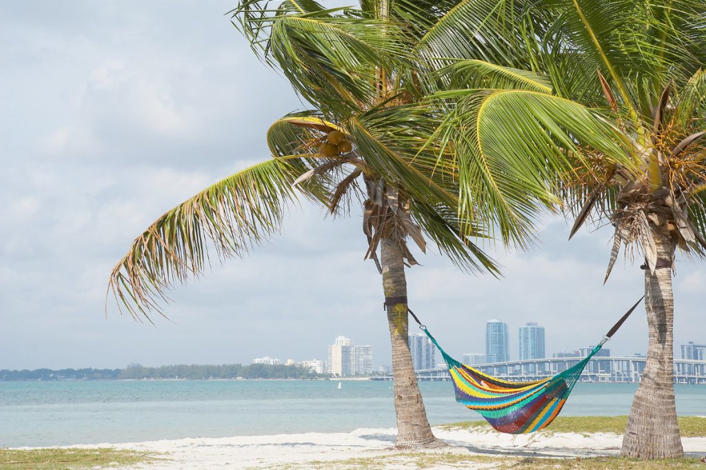 Gov DeSantis ends vaccine passports in&nbsp;Florida